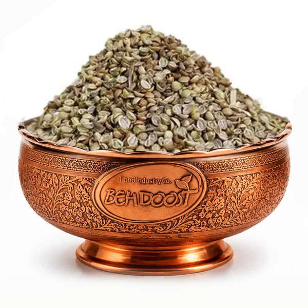 Coriander seeds