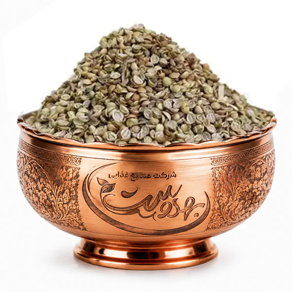 تخم گشنیز