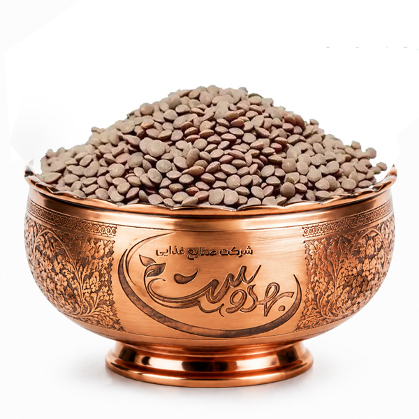 عدس